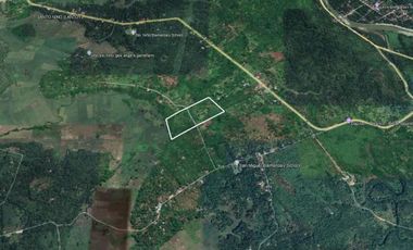 🌿 𝐋𝐎𝐓 𝐅𝐎𝐑 𝐒𝐀𝐋𝐄 – 𝐂𝐀𝐒𝐇 𝐎𝐑 𝐈𝐍𝐒𝐓𝐀𝐋𝐋𝐌𝐄𝐍𝐓 𝐁𝐀𝐒𝐈𝐒 🌿