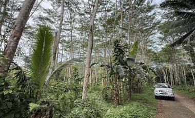 🌿 𝐋𝐎𝐓 𝐅𝐎𝐑 𝐒𝐀𝐋𝐄 – 𝐂𝐀𝐒𝐇 𝐎𝐑 𝐈𝐍𝐒𝐓𝐀𝐋𝐋𝐌𝐄𝐍𝐓 𝐁𝐀𝐒𝐈𝐒 🌿