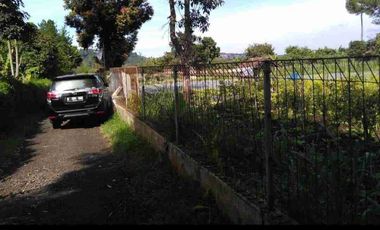 Tanah kebun terawat di maribaya lembang bandung barat