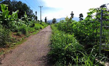 Tanah kebun murah terawat di padalarang bandung barat