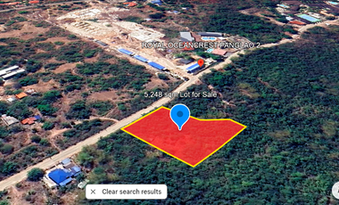 5,248 sqm Lot for Lease- Dao, Dauis, Panglao Island