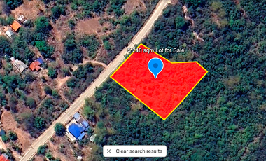 5,248 sqm Lot for Lease- Dao, Dauis, Panglao Island