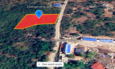 5,248 sqm Lot for Lease- Dao, Dauis, Panglao Island