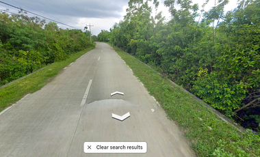 5,248 sqm Lot for Lease- Dao, Dauis, Panglao Island