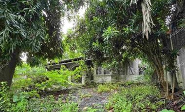 House for sale in New Alabang Village, Muntinlupa