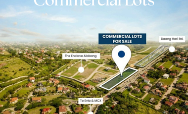 226k/ sqm Commercial Lot for Sale in Daang Hari, Las Pinas City