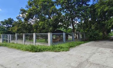 Farm Lot for Sale in Daine