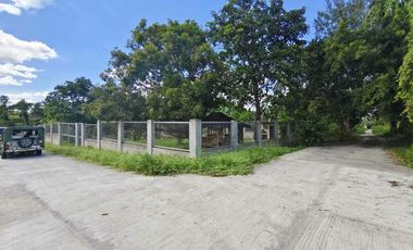 Farm Lot for Sale in Daine