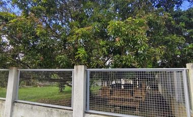 Farm Lot for Sale in Daine