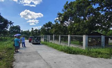 Farm Lot for Sale in Daine