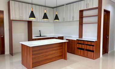 FOR SALE | 500 sqm Brand New Corner House in BF Homes, Parañaque