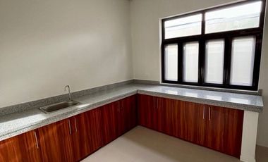 FOR SALE | 500 sqm Brand New Corner House in BF Homes, Parañaque