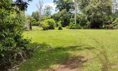 Tanah strategis dekat dengan Pantai Balangan dan Pantai Dreamland