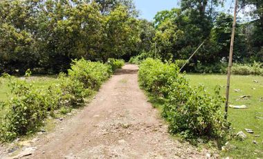 Tanah strategis dekat dengan Pantai Balangan dan Pantai Dreamland