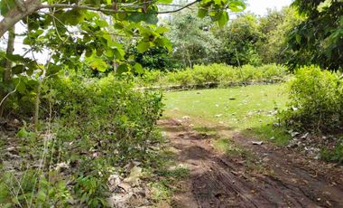 Tanah strategis dekat dengan Pantai Balangan dan Pantai Dreamland