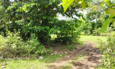 Tanah strategis dekat dengan Pantai Balangan dan Pantai Dreamland