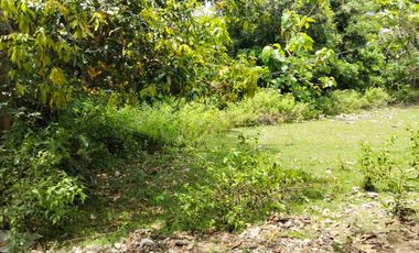 Tanah strategis dekat dengan Pantai Balangan dan Pantai Dreamland