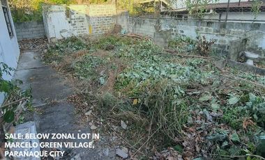 Residential Lot for sale in San Antonio, Parañaque City