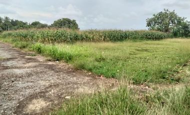 Di Jual Rumah Strategis Taman Bunga Purworejo Dekat Deandels