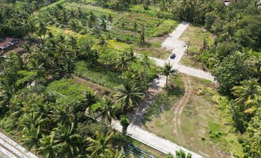 Tanah Dekat Bandara YIA dan Terminal Wates di Wates