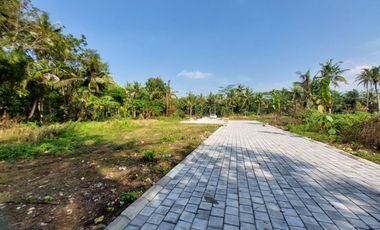 Tanah Dekat Bandara YIA dan Terminal Wates di Wates