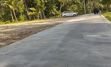 Dekat RS Queen Latifa Tanah Murah di Kulon Progo Jogja