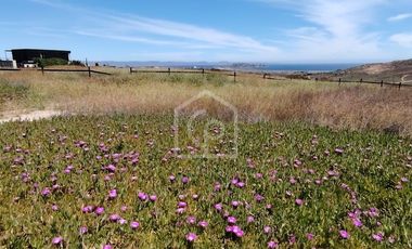 SE VENDE TERRENO 5000 m2 EN CONDOMINIO “BAHIA DEL MAR”, TONGOY