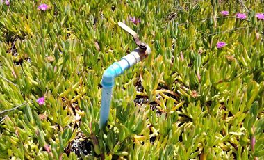 SE VENDE TERRENO 5000 m2 EN CONDOMINIO “BAHIA DEL MAR”, TONGOY