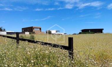 SE VENDE TERRENO 5000 m2 EN CONDOMINIO “BAHIA DEL MAR”, TONGOY