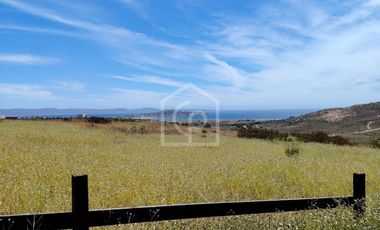 SE VENDE TERRENO 5000 m2 EN CONDOMINIO “BAHIA DEL MAR”, TONGOY
