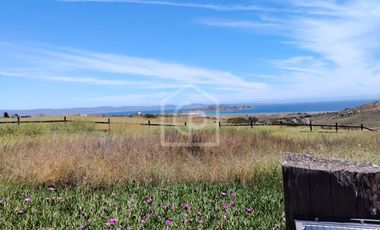SE VENDE TERRENO 5000 m2 EN CONDOMINIO “BAHIA DEL MAR”, TONGOY