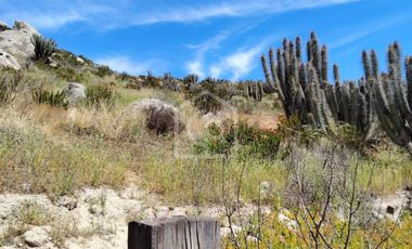 SE VENDE TERRENO 5000 m2 EN CONDOMINIO “BAHIA DEL MAR”, TONGOY