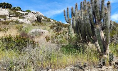 SE VENDE TERRENO 5000 m2 EN CONDOMINIO “BAHIA DEL MAR”, TONGOY