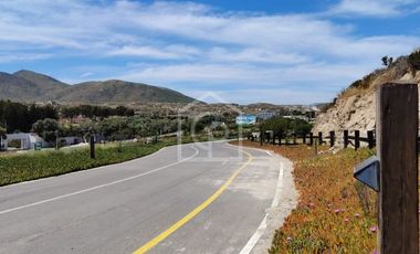 SE VENDE TERRENO 5000 m2 EN CONDOMINIO “BAHIA DEL MAR”, TONGOY