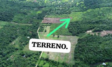 Vendo 1 hectárea en San Martin Tarapoto a $55,000