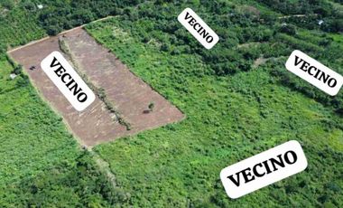 Vendo 1 hectárea en San Martin Tarapoto a $55,000