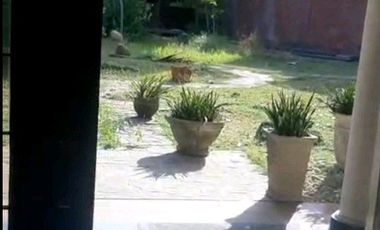 DIJUAL RUMAH MARGOREJO INDAH UTARA SURABAYA RON.A2817