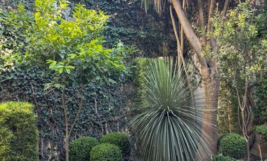RENTA EXCELENTE CASA AMUEBLADA 1 SOLO NIVEL  EN APIZACO, TLAXCALA.