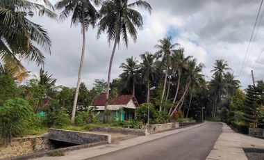 Tanah Istimewa Dekat Bandara YIA – Siap Bangun & Investasi Menjanjikan!