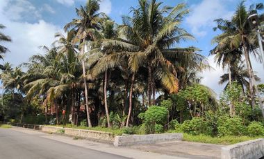 Tanah Istimewa Dekat Bandara YIA – Siap Bangun & Investasi Menjanjikan!