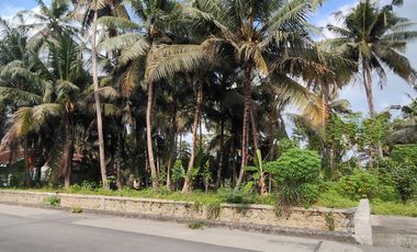 Tanah Istimewa Dekat Bandara YIA – Siap Bangun & Investasi Menjanjikan!