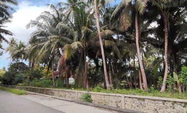 Tanah Istimewa Dekat Bandara YIA – Siap Bangun & Investasi Menjanjikan!