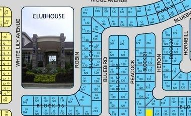 Lot for Sale at Carmel Ridge in Calamba Laguna