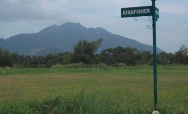 Lot for Sale at Carmel Ridge in Calamba Laguna
