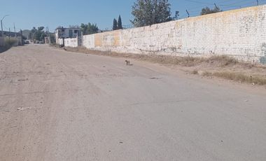 Terreno en renta listo para operar 🚧