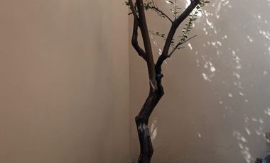 CASA EN VENTA EN GUADALUPE