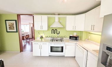 Departamento Pent House en venta en Hipolito Taine Polanco V Sección Chapultepec Morales