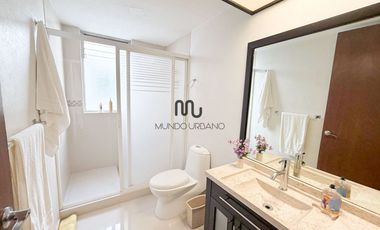 Departamento Pent House en venta en Hipolito Taine Polanco V Sección Chapultepec Morales