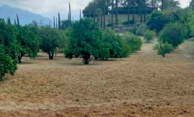 Quinta en Venta en Las Boquillas Allende Nuevo León