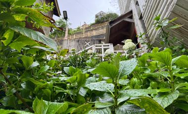 ¡SE VENDE! Complejo Turístico Valle La Luna – Lago Lanalhue